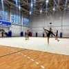 Ковер для художественной гимнастики GYMSPORT PROF (универсальный) 14Х14Х0.008М