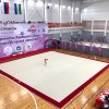 Ковер для художественной гимнастики GYMSPORT PROF PREMIUM RED (Проф Премиум) (профессиональный) 14Х14