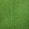 Искусственная трава Grass (Грасс) 35