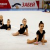 Ковер для художественной гимнастики GYMSPORT PROF (универсальный) 14Х14Х0.008М