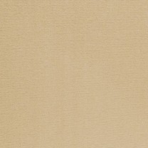 Ковролин ITC Altona (Альтона) 40 .