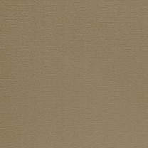 Ковролин ITC Altona (Альтона) 49 .