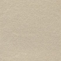 Ковролин AW Confidence (Конфиденс) 05 .