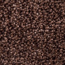 Ковролин Tarkett Dragon (Драгон) 11431 .