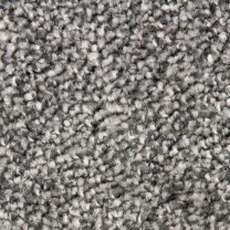 Ковролин Tarkett Dragon (Драгон) 33631 .