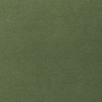 Ковролин AW Velvet Oinone (Оинуан) 24 .