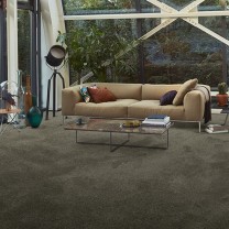 Ковролин AW Vivendi Punch (Панч) 29 .