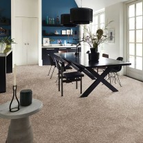 Ковролин AW Vivendi Punch (Панч) 34 .