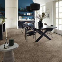 Ковролин AW Vivendi Punch (Панч) 37 .