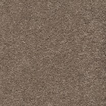 Ковролин AW Vivendi Punch (Панч) 37 .