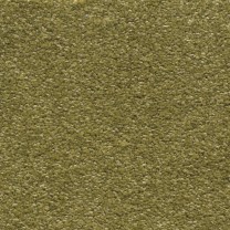 Ковролин AW Invictus Scorpius (Скорпиус) 21 .