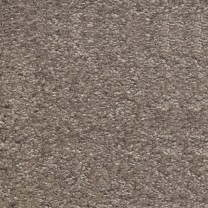 Ковролин AW Invictus Scorpius (Скорпиус) 37 .