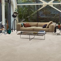 Ковролин AW Vivendi Vibes (Вайбс) 03 .