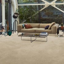 Ковролин AW Vivendi Vibes (Вайбс) 33 .