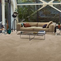 Ковролин AW Vivendi Vibes (Вайбс) 34 .