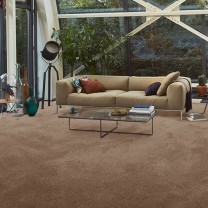 Ковролин AW Vivendi Vibes (Вайбс) 38 .