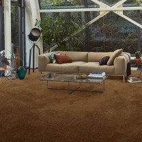 Ковролин AW Vivendi Vibes (Вайбс) 80 .