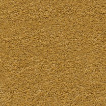 Ковролин AW Vivendi Vigour (Виго) 54 .