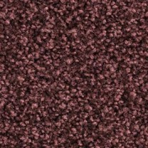 Ковролин Balsan Script (Балсан Скрипт) 590 .