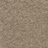 Ковролин AW Surprise (Сюрпрайз) 36 .