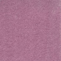 Ковролин AW Surprise (Сюрпрайз) 66 .