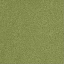 Ковролин Rossini (Розини) Old 123 Зеленый.