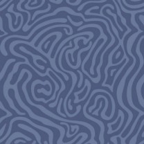 Ковролин ITC Lazio (Лацио) 74 .