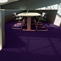 Ковролин Salsa (Сальса) 1385 (C защитной плёнкой) .