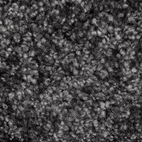 Ковролин AW Sensualite Secret (Сикрет) 99 .