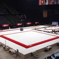 Ковер для художественной гимнастики GYMSPORT PROF PREMIUM RED (Проф Премиум) (профессиональный) 14Х14 .