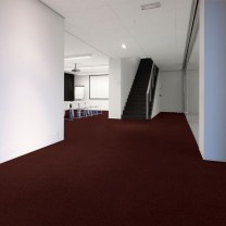 Ковролин Edel Vanity (Вайнити) 155 .