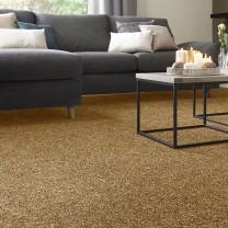 Ковролин Condor Cotton Dream (Коттон Дрим) 105 .