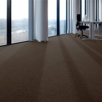 Ковролин ITC Evolve (Ивольв) 049 .