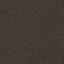 Ковровая плитка Modulyss (Модулус) Millennium Nxtgen (Милленниум Некстген) 883 .