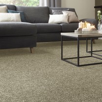 Ковролин Condor Cotton Dream (Коттон Дрим) 101 .