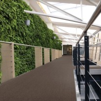 Ковролин ITC E-Weave (И-Вейв) 049 .