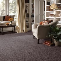 Ковролин Condor Amazing (Эмейзинг) 92 .