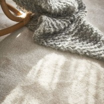 Ковролин AW Confidence (Конфиденс) 05 .