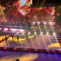 Ковер для спортивной гимнастики GYMSPORT STRONG PREMIUM 14Х14 .