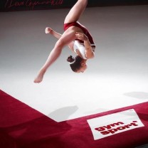 Ковер для художественной гимнастики GYMSPORT PROF PREMIUM RED (Проф Премиум) (профессиональный) 14Х14 .