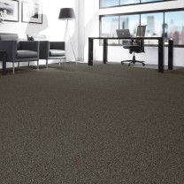 Ковролин Daily (Дейли) 068 .