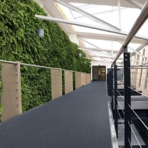 Ковролин ITC E-Weave (И-Вейв) 079 .