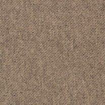 Ковровая плитка Essence (Эссенс) 2925 .