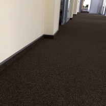 Ковролин AW Prima (Прима) 49 .