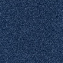 Ковровая плитка Modulyss (Модулус) Perpetual Xtra (Перпечуал Экстра) 55F .