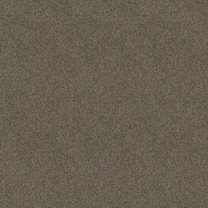 Ковролин Lounge (Лаундж) X4454 .