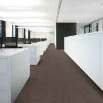 Ковролин ITC Optima (Оптима) 034 .