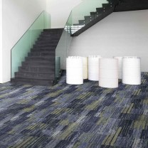 Ковролин BIG Terra Nova TN001 (Терра Нова) 3450 Разноцветный.