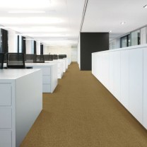 Ковролин ITC President (Президент) 037 .