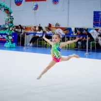 Ковер для художественной гимнастики GYMSPORT PROF (универсальный) 14Х14Х0.008М .